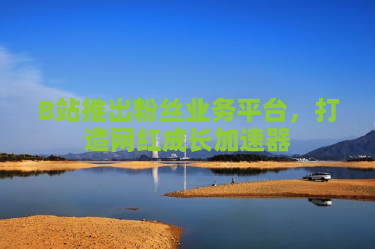 B站推出粉丝业务平台，打造网红成长加速器