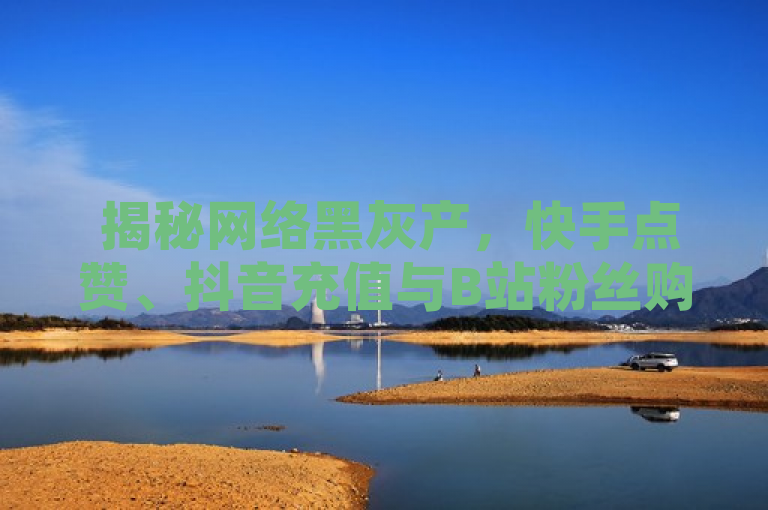  揭秘网络黑灰产，快手点赞、抖音充值与B站粉丝购买服务曝光