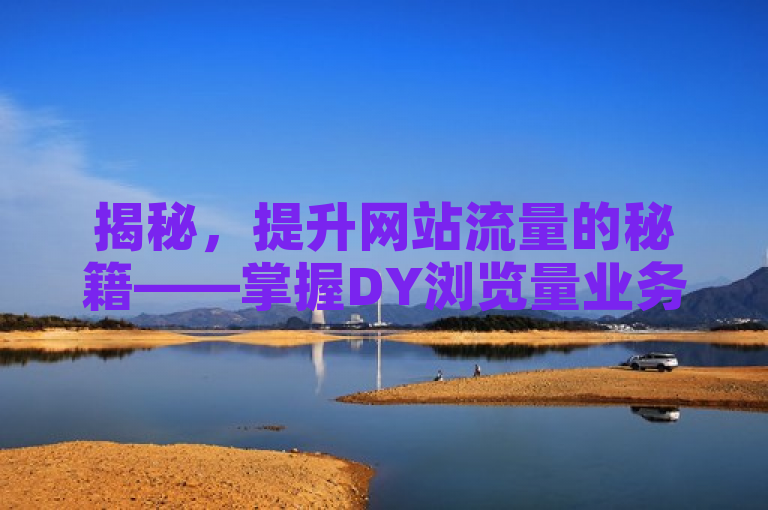 揭秘，提升网站流量的秘籍——掌握DY浏览量业务的核心策略与技巧