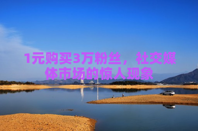 1元购买3万粉丝，社交媒体市场的惊人现象