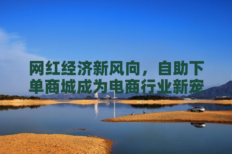 网红经济新风向，自助下单商城成为电商行业新宠