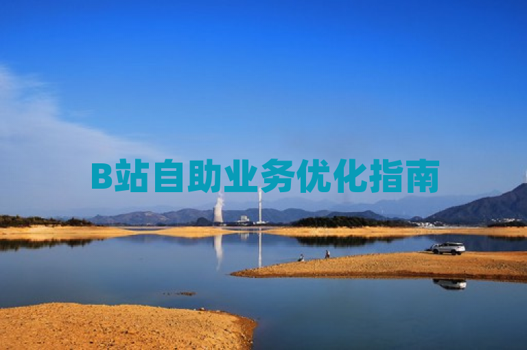 B站自助业务优化指南