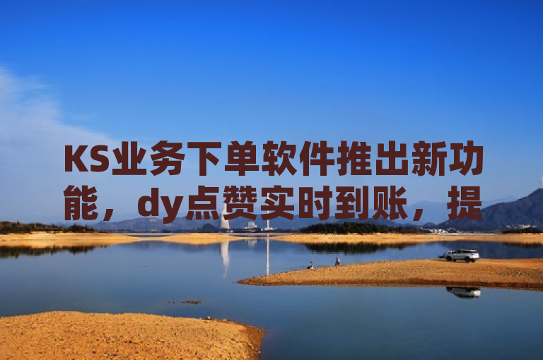 KS业务下单软件推出新功能，dy点赞实时到账，提升用户体验