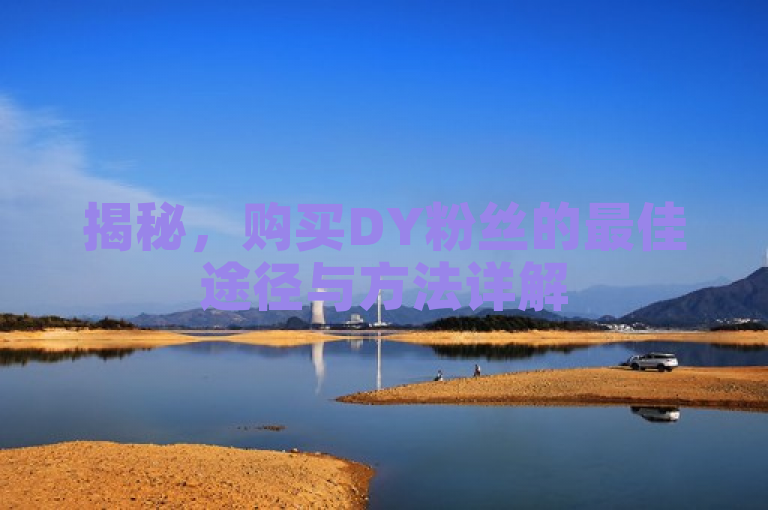 揭秘，购买DY粉丝的最佳途径与方法详解
