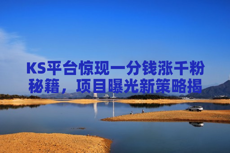 KS平台惊现一分钱涨千粉秘籍，项目曝光新策略揭秘！