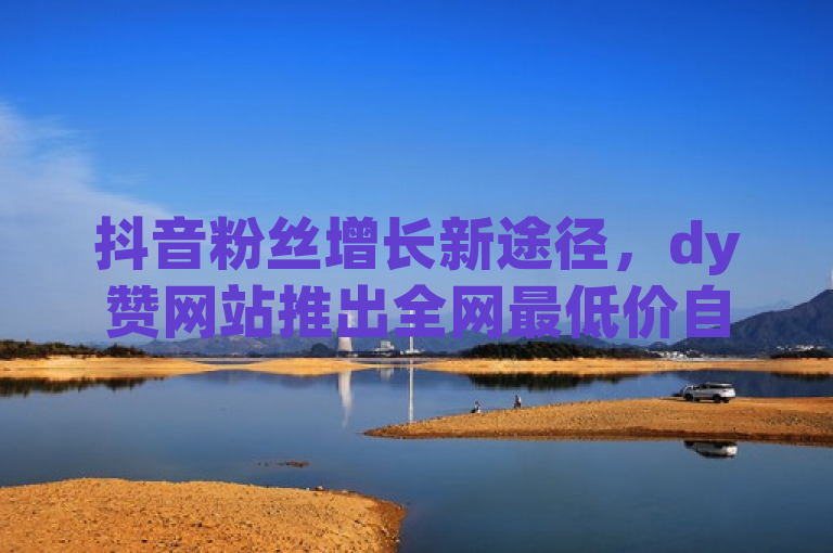 抖音粉丝增长新途径，dy赞网站推出全网最低价自助下单服务
