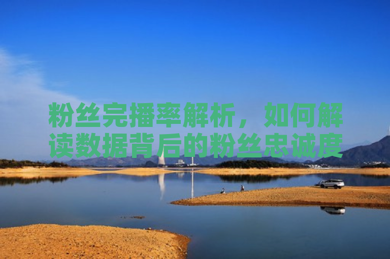 粉丝完播率解析，如何解读数据背后的粉丝忠诚度