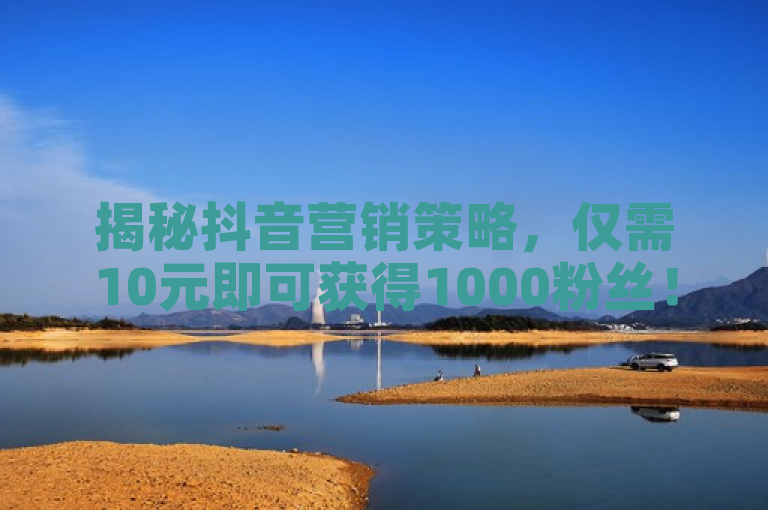 揭秘抖音营销策略，仅需10元即可获得1000粉丝！