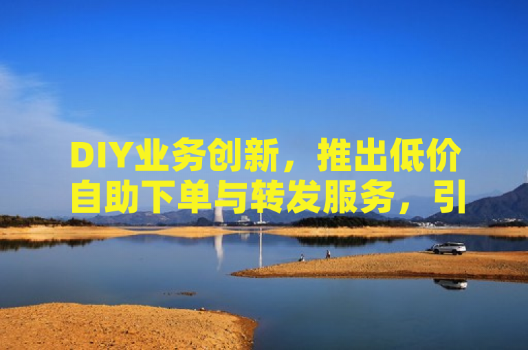 DIY业务创新，推出低价自助下单与转发服务，引领行业新潮流