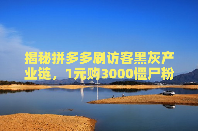 揭秘拼多多刷访客黑灰产业链，1元购3000僵尸粉，店铺流量造假内幕曝光，揭示了一种不正当的获取店铺访客的方式，即通过低价购买所谓的僵尸粉来虚假提升店铺流量。这种方式不仅违反了平台规则，还可能对消费者的购物体验造成不良影响。因此，建议商家遵守平台规则，通过合法合规的方式来提升店铺流量和销量。