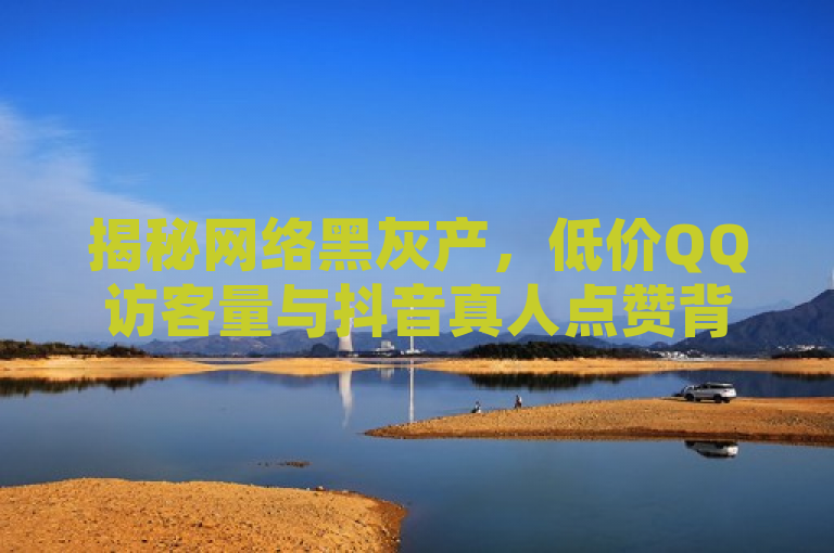 揭秘网络黑灰产，低价QQ访客量与抖音真人点赞背后的风险，揭示了网络上存在的一些低成本、高效果的虚假流量服务，同时提醒读者这些服务背后可能存在的风险和问题。