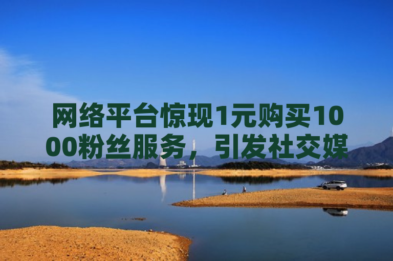 网络平台惊现1元购买1000粉丝服务，引发社交媒体关注