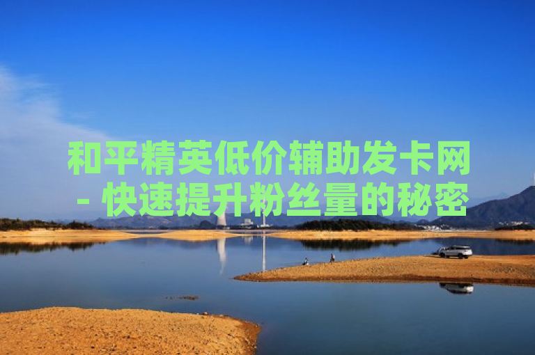 和平精英低价辅助发卡网 - 快速提升粉丝量的秘密武器