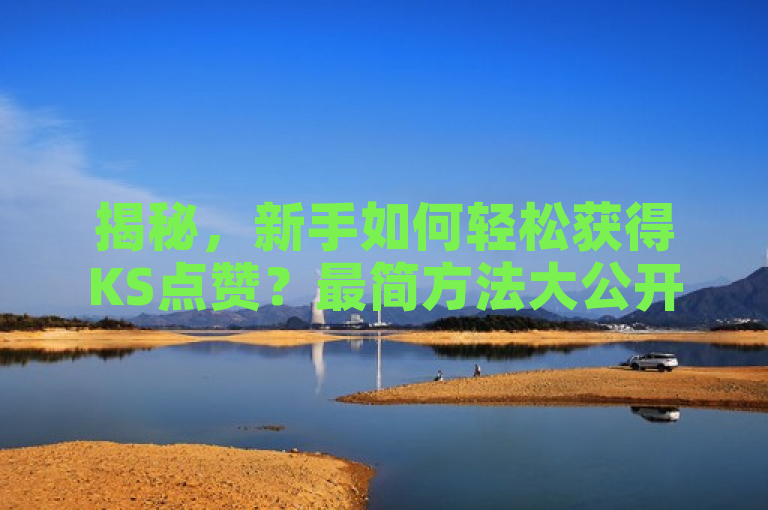 揭秘，新手如何轻松获得KS点赞？最简方法大公开！
