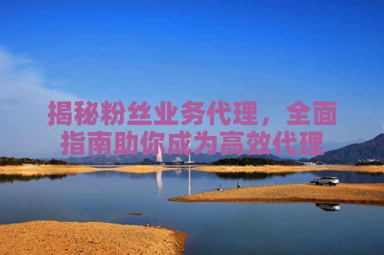 揭秘粉丝业务代理，全面指南助你成为高效代理