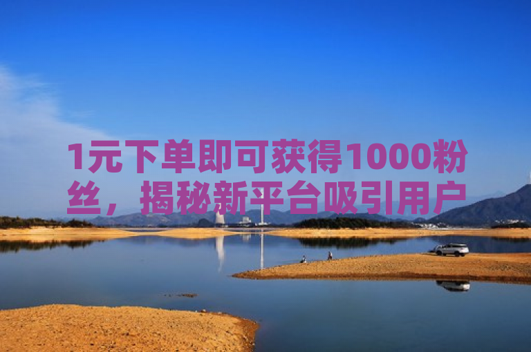 1元下单即可获得1000粉丝，揭秘新平台吸引用户策略