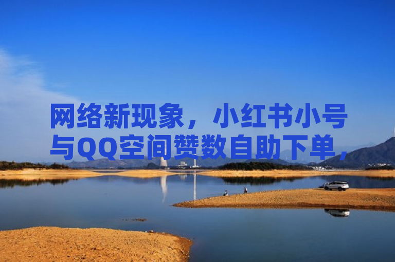 网络新现象，小红书小号与QQ空间赞数自助下单，1元可增千粉