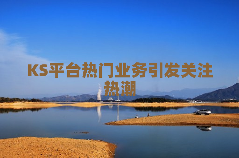KS平台热门业务引发关注热潮