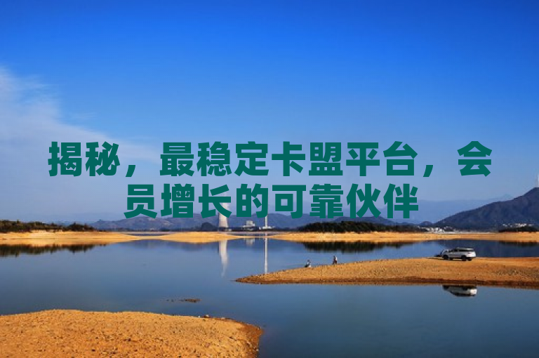 揭秘，最稳定卡盟平台，会员增长的可靠伙伴