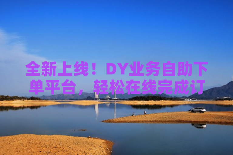 全新上线！DY业务自助下单平台，轻松在线完成订单操作