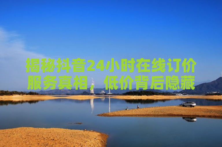 揭秘抖音24小时在线订价服务真相,低价背后隐藏哪些信息?