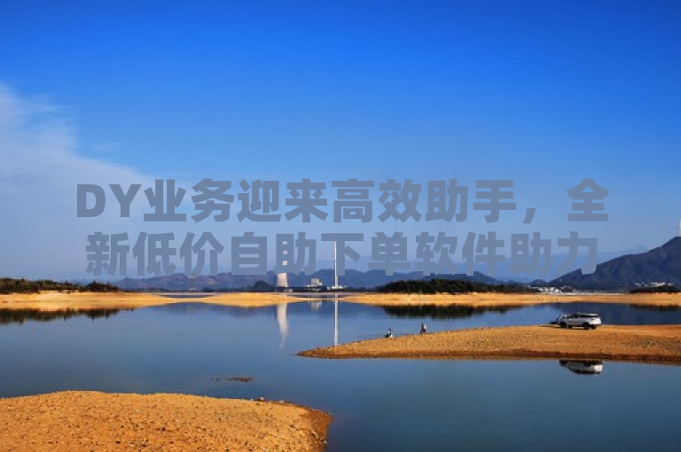 DY业务迎来高效助手，全新低价自助下单软件助力业绩飙升