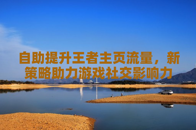 自助提升王者主页流量，新策略助力游戏社交影响力