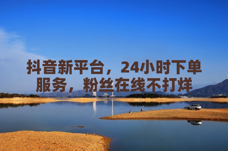 抖音新平台，24小时下单服务，粉丝在线不打烊