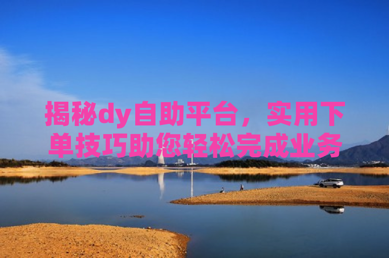 揭秘dy自助平台，实用下单技巧助您轻松完成业务