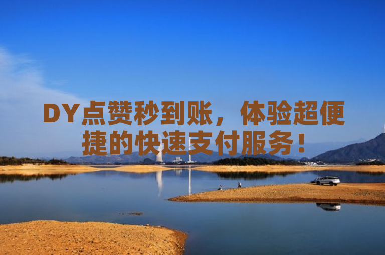 DY点赞秒到账，体验超便捷的快速支付服务！