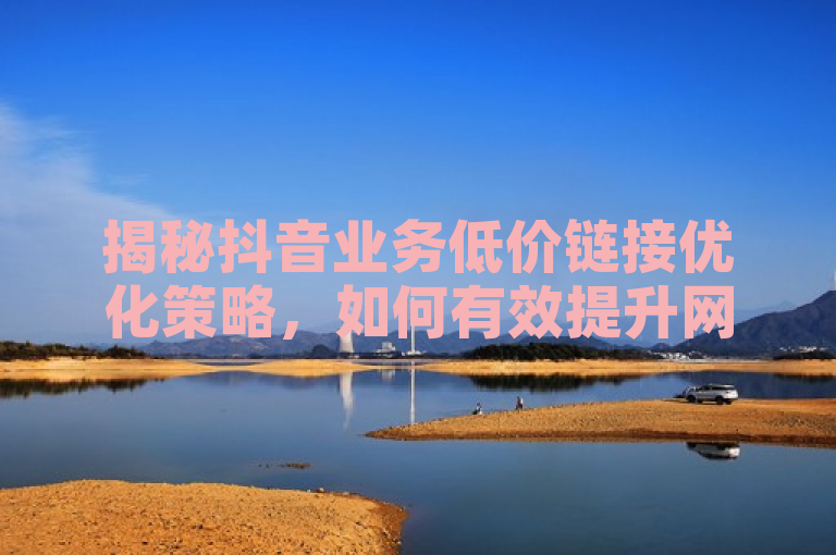 揭秘抖音业务低价链接优化策略，如何有效提升网站流量与转化率