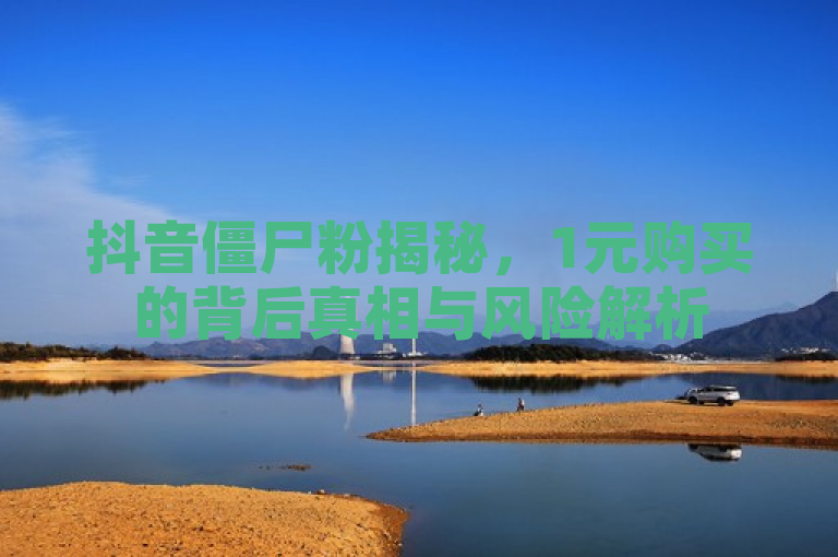 抖音僵尸粉揭秘，1元购买的背后真相与风险解析