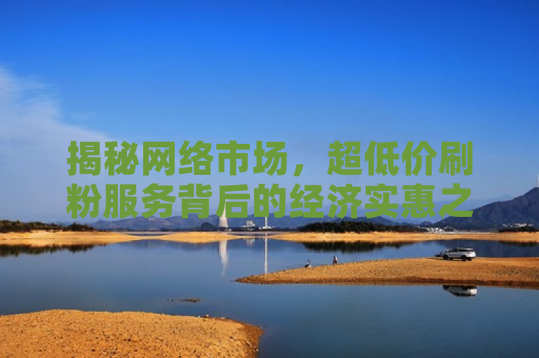 揭秘网络市场，超低价刷粉服务背后的经济实惠之选