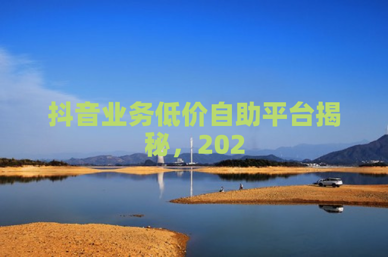 抖音业务低价自助平台揭秘，2025必学优惠服务策略