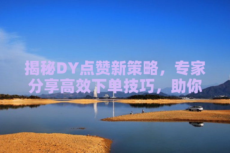 揭秘DY点赞新策略，专家分享高效下单技巧，助你轻松赢得更多赞！