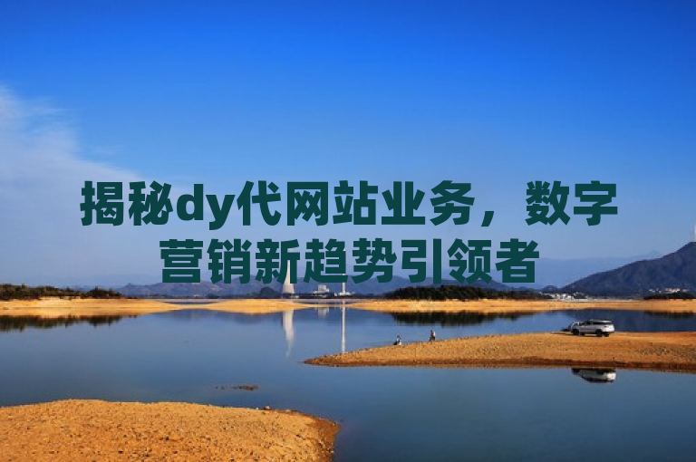 揭秘dy代网站业务，数字营销新趋势引领者