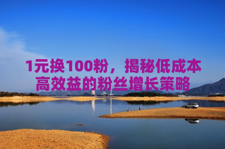 1元换100粉，揭秘低成本高效益的粉丝增长策略