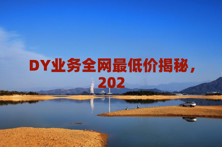 DY业务全网最低价揭秘，2025年营销新策略必学！