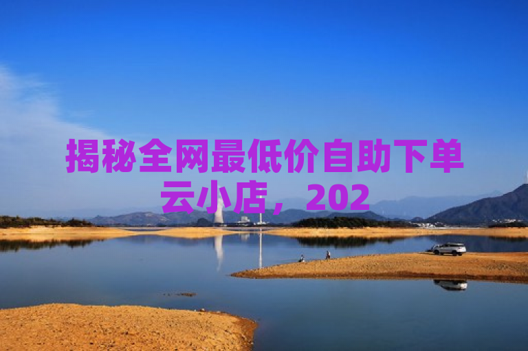 揭秘全网最低价自助下单云小店,2025年必学秘籍!