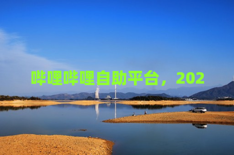 哔哩哔哩自助平台，2025必学的一站式业务解决方案！