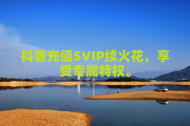 抖音充值SVIP续火花，享受专属特权。