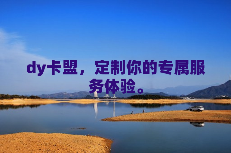 dy卡盟，定制你的专属服务体验。