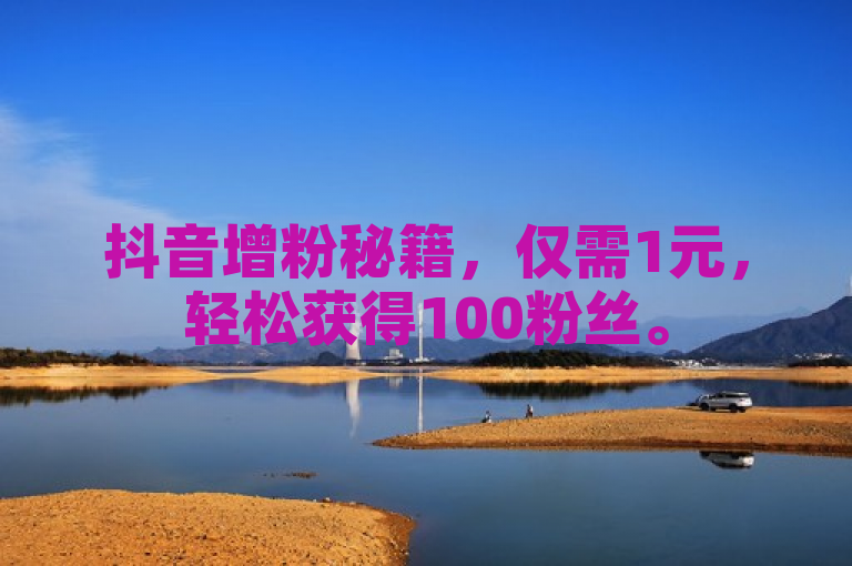 抖音增粉秘籍，仅需1元，轻松获得100粉丝。