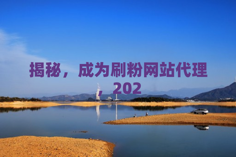揭秘，成为刷粉网站代理，2025必学技巧！