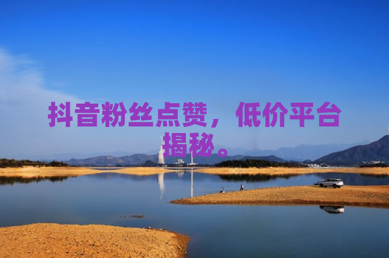 抖音粉丝点赞，低价平台揭秘。