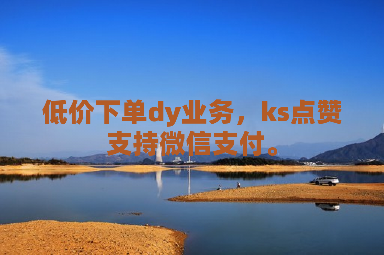 低价下单dy业务，ks点赞支持微信支付。