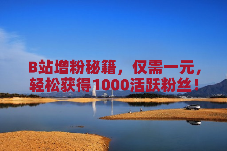 B站增粉秘籍，仅需一元，轻松获得1000活跃粉丝！