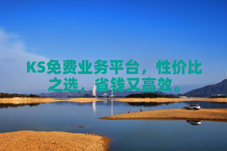 KS免费业务平台，性价比之选，省钱又高效。