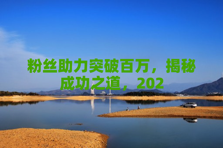 粉丝助力突破百万，揭秘成功之道，2025年必学策略！