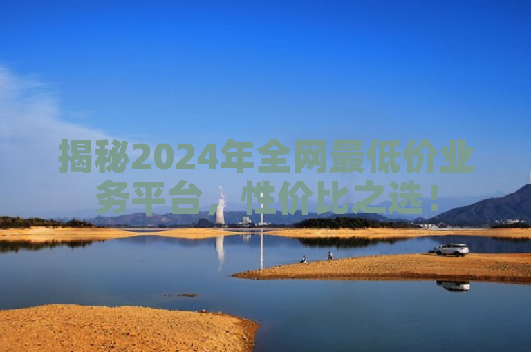 揭秘2024年全网最低价业务平台，性价比之选！